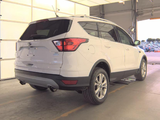 2019 Ford Escape SE's photo